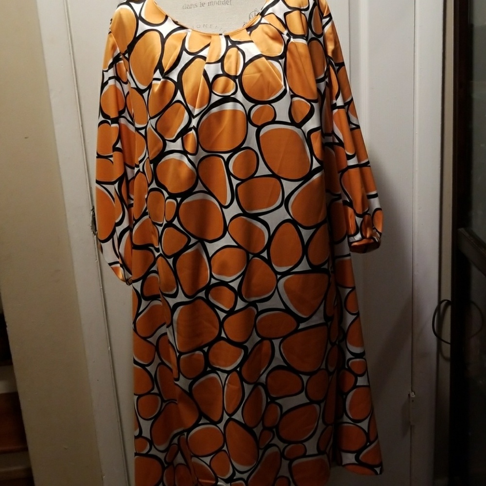 Donna Rocco - Picture 2 of 2